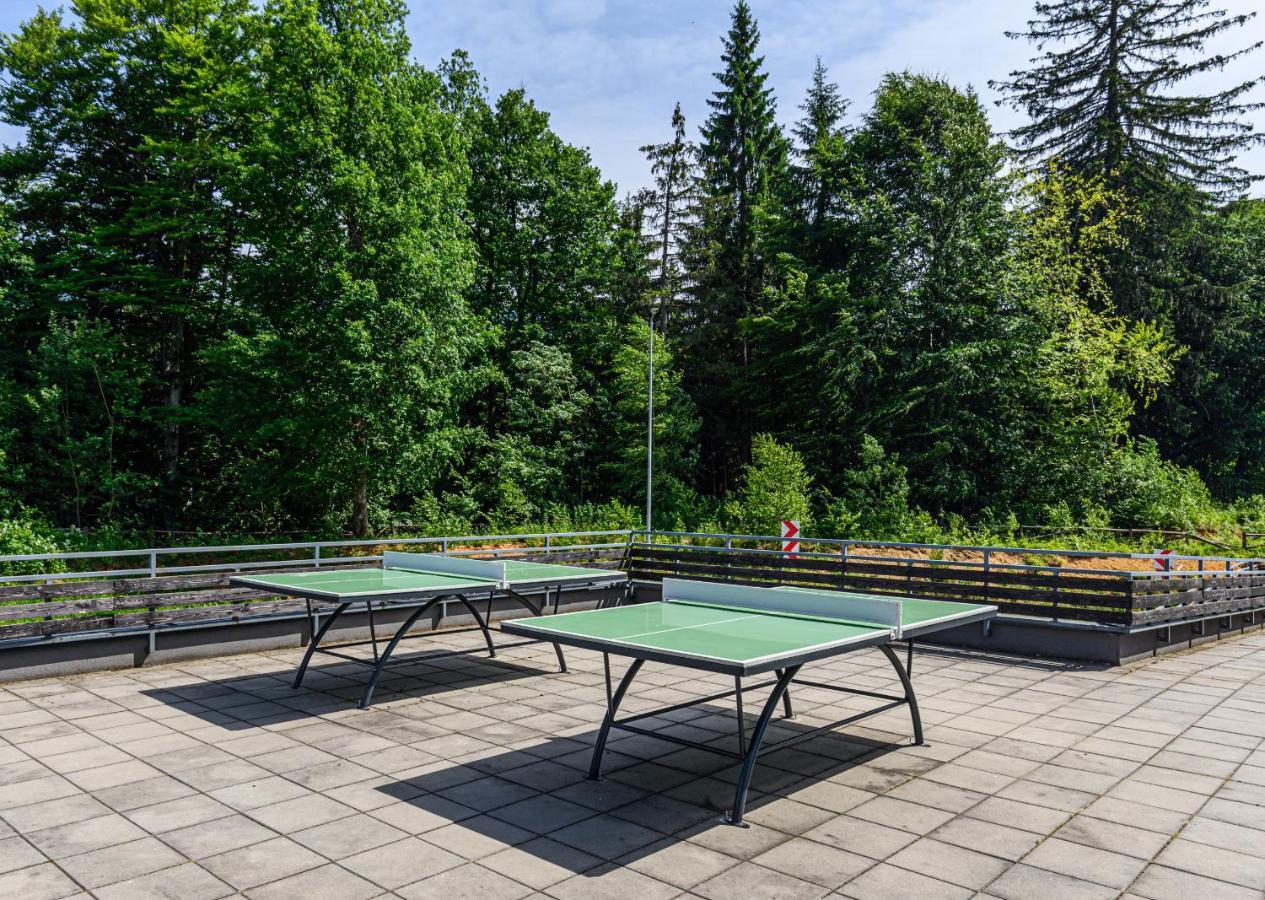 Fabulous Panorama Silver Mountain Apartments Poiana Brasov Ngoại thất bức ảnh