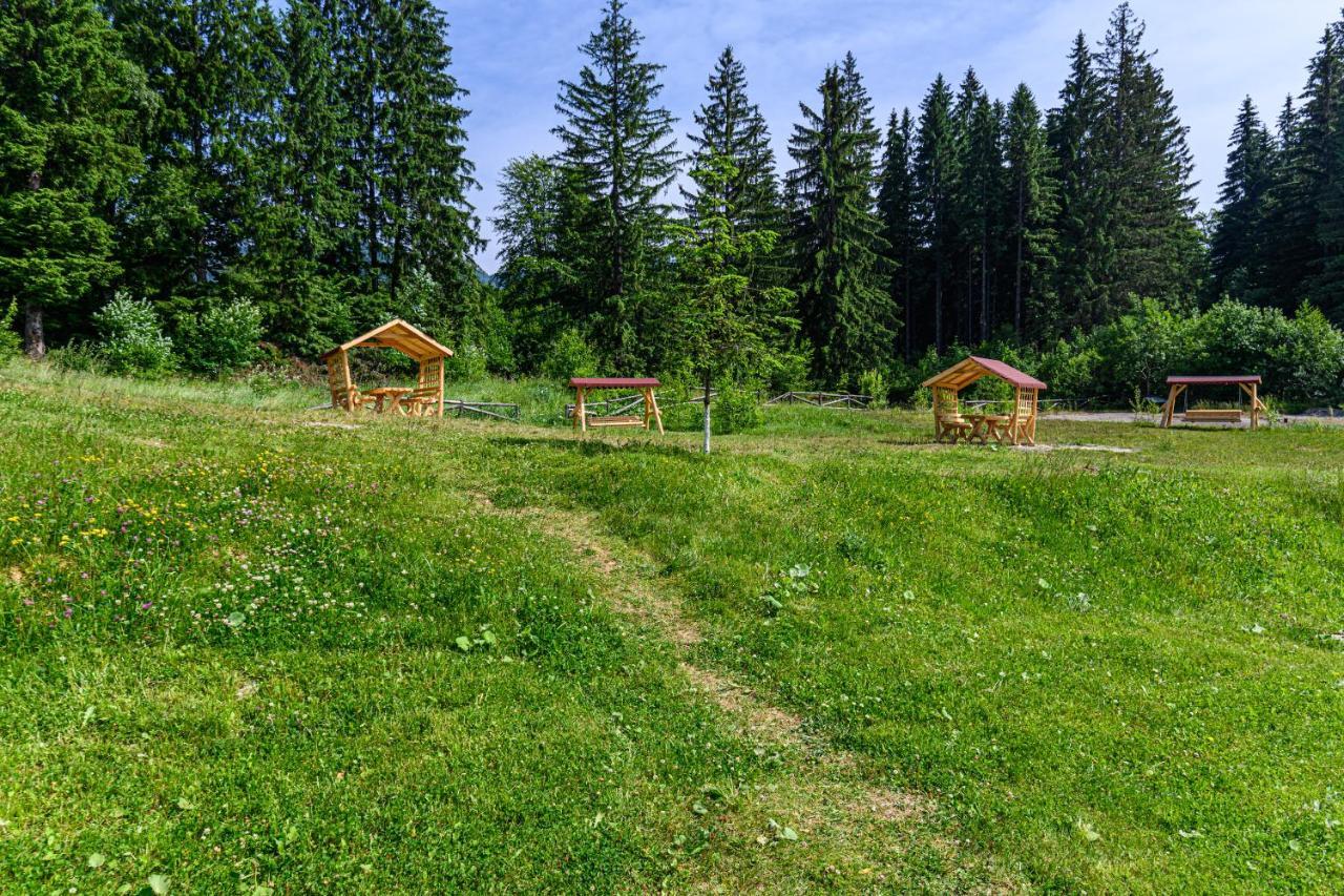 Fabulous Panorama Silver Mountain Apartments Poiana Brasov Ngoại thất bức ảnh