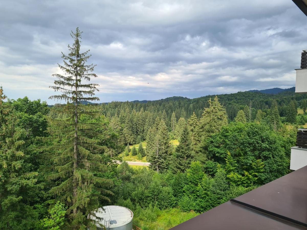 Fabulous Panorama Silver Mountain Apartments Poiana Brasov Ngoại thất bức ảnh